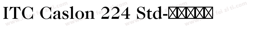 ITC Caslon 224 Std字体转换